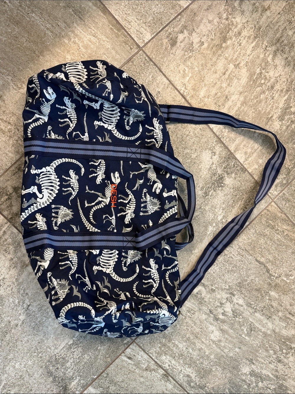 Pottery Barn Kids Navy Tote with White Dinosaur Skeletons